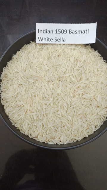 Indian 1509 Basmati White Sella Rice