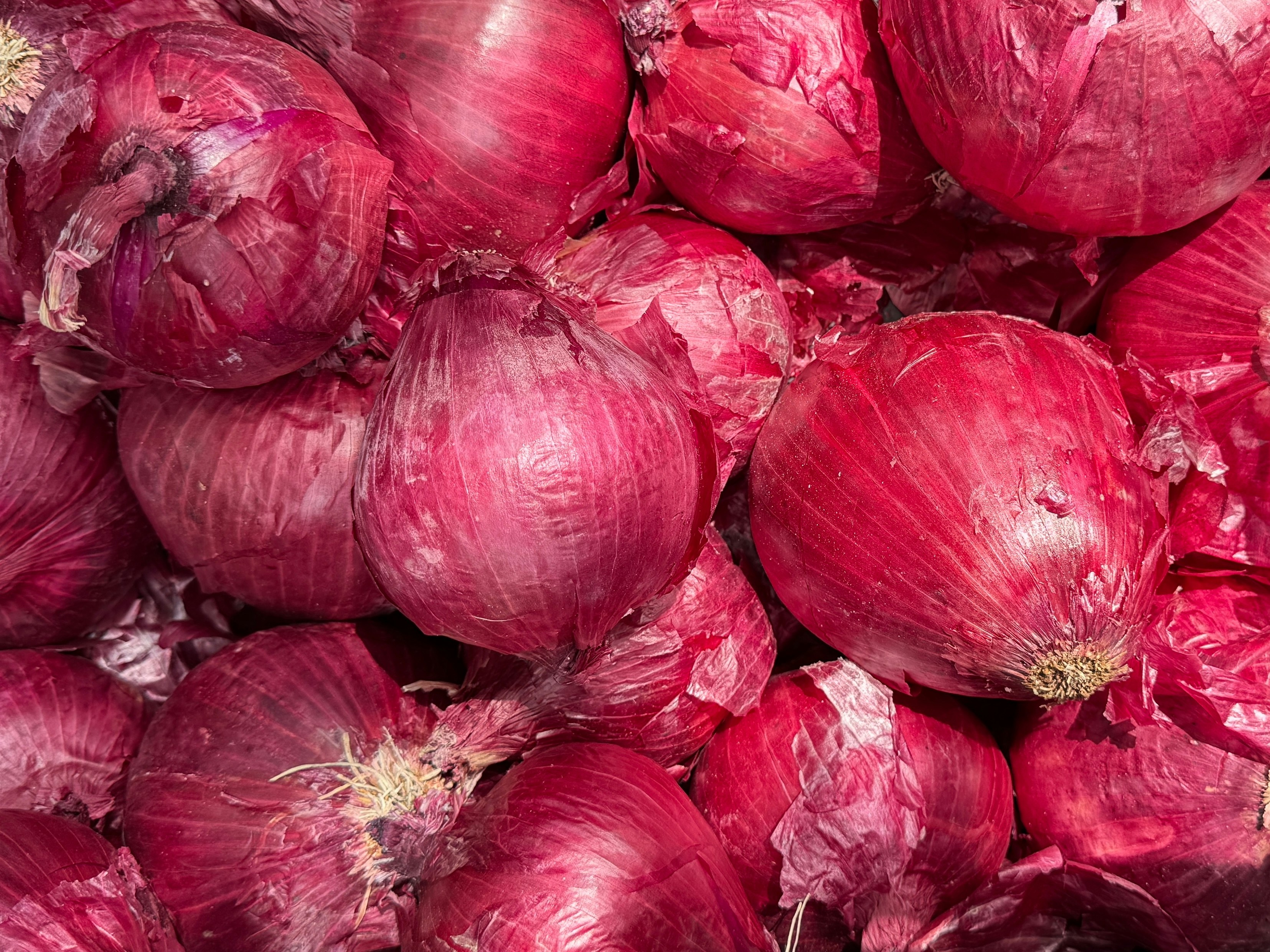 Nashik Red Onions